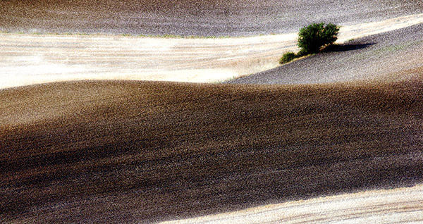 Palouse agricultural image, grain harvest, Idaho and Washington