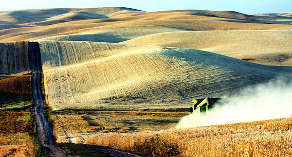 Palouse agricultural image, grain harvest, Idaho and Washington