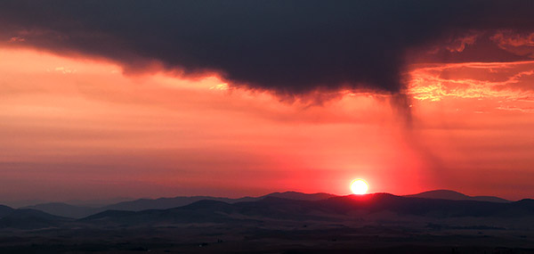 Palouse agricultural image, grain harvest, Idaho and Washington