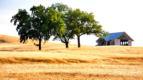 Palouse agricultural image, grain harvest, Idaho and Washington