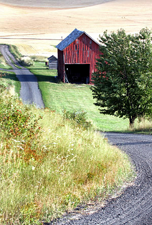 Palouse agricultural image, grain harvest, Idaho and Washington