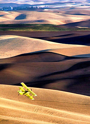 Palouse agricultural image, grain harvest, Idaho and Washington