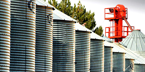 Palouse agricultural image, grain harvest, Idaho and Washington