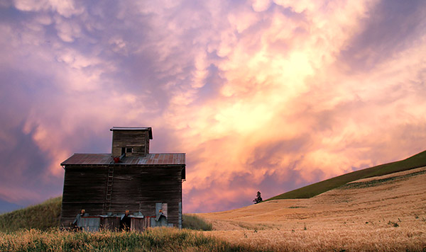 Palouse agricultural image, grain harvest, Idaho and Washington