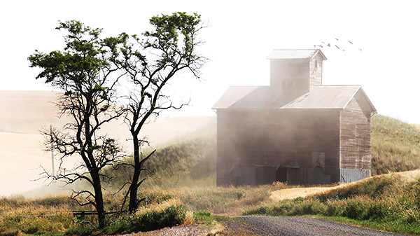 Palouse agricultural image, grain harvest, Idaho and Washington