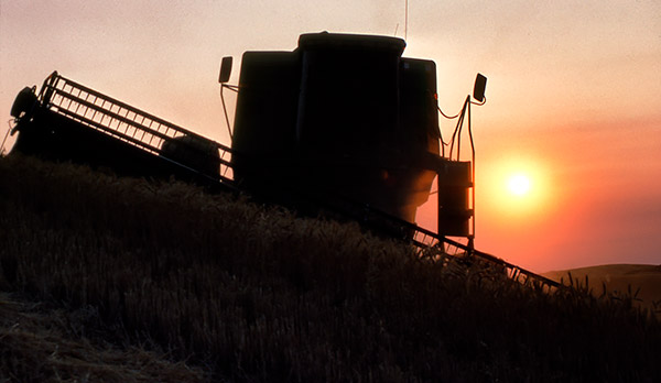 Palouse agricultural image, grain harvest, Idaho and Washington