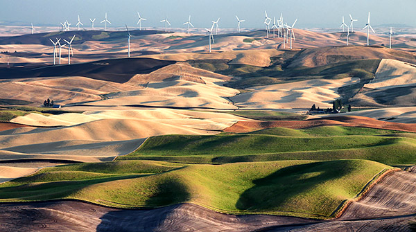 Palouse agricultural image, grain harvest, Idaho and Washington
