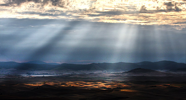 Palouse agricultural image, grain harvest, Idaho and Washington