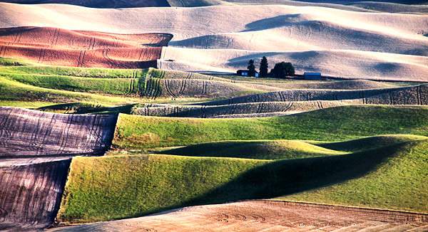 Palouse agricultural image, grain harvest, Idaho and Washington