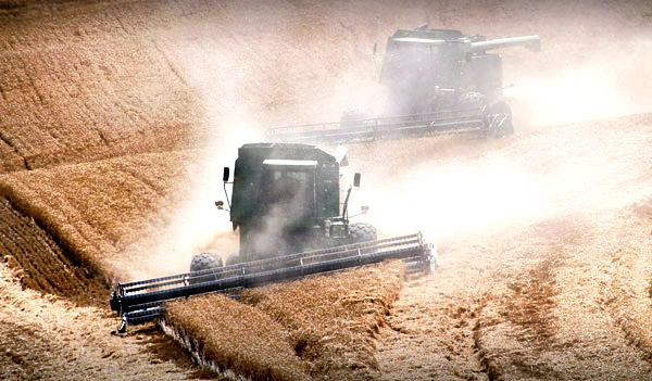 Palouse agricultural image, grain harvest, Idaho and Washington