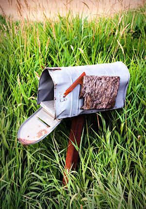 Palouse agricultural image, grain harvest, Idaho and Washington