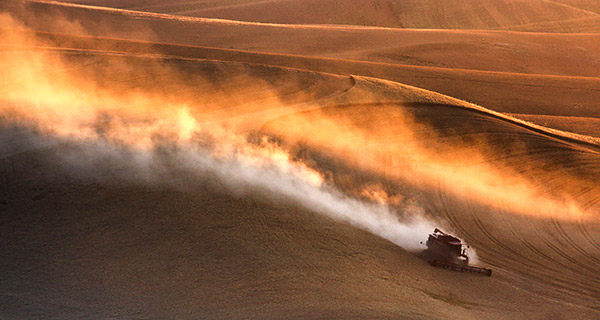 Palouse agricultural image, grain harvest, Idaho and Washington