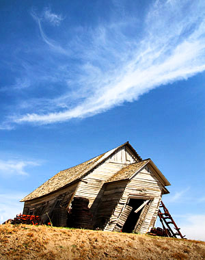 Palouse agricultural image, grain harvest, Idaho and Washington