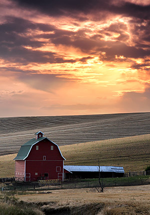 Palouse agricultural image, grain harvest, Idaho and Washington