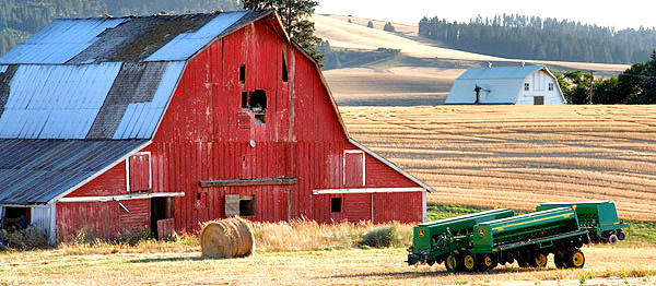 Palouse agricultural image, grain harvest, Idaho and Washington