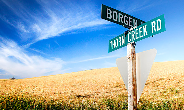 Palouse agricultural image, grain harvest, Idaho and Washington