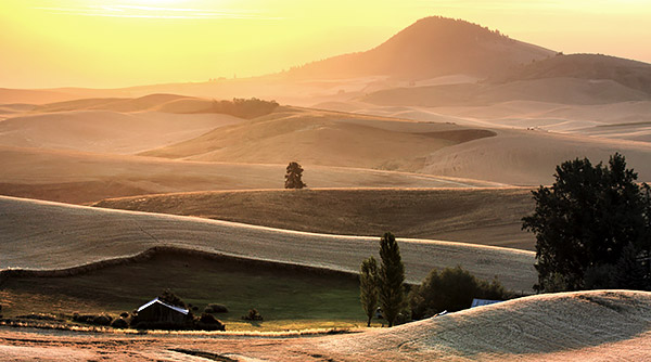 Palouse agricultural image, grain harvest, Idaho and Washington