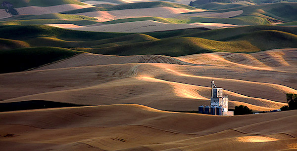 Palouse agricultural image, grain harvest, Idaho and Washington