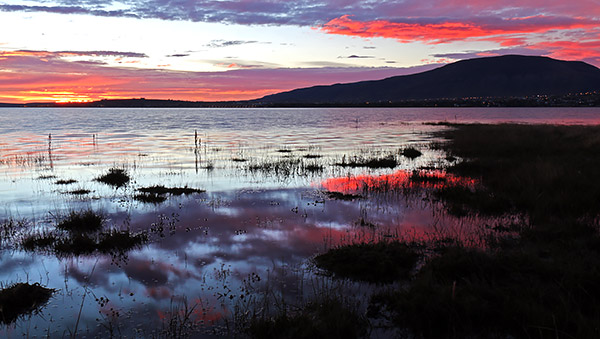 Patagonia photo tour image of Largo Argentino at sunrise, El Calafate, Argentina