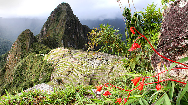 Photo tours to Machu Picchu and Cusco, Peru