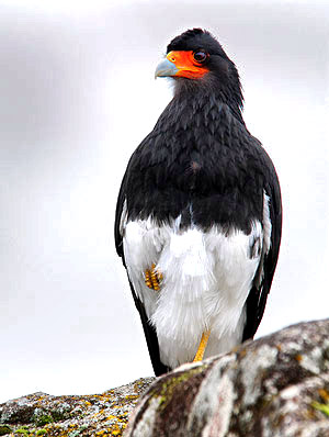 Photo tours to Machu Picchu and Cusco, Peru