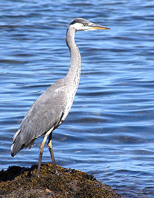Photo tour image of Scotland, UK