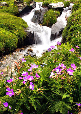 Photo tours to the Swiss, Austrian, German and Italian Alps