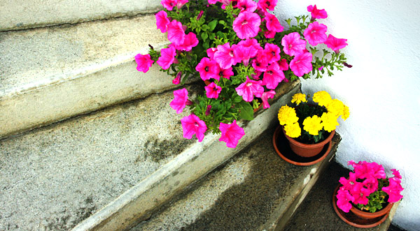 Photo tour image from the Swiss, Austrian, German and Italian Alps