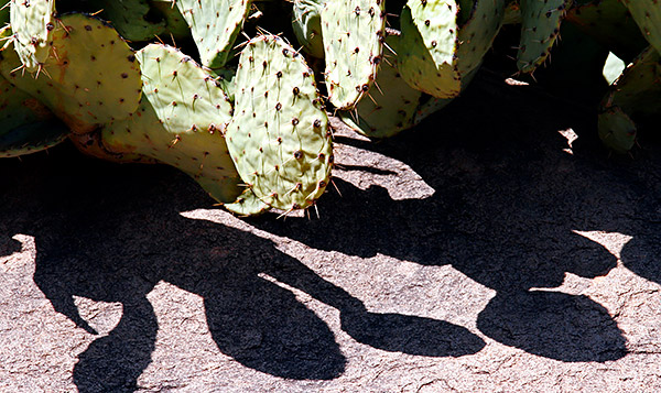 Cati, Big Bend National Park, Texas