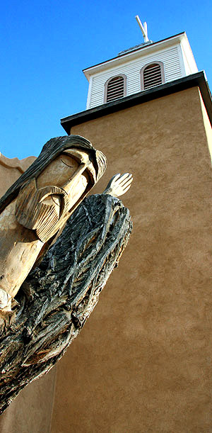 photo library image of trees and leaves