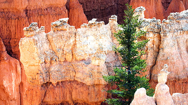 Utah photo libray image