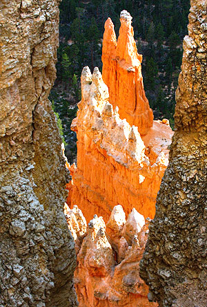 Utah photo libray image