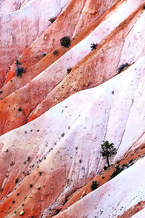 Utah photo libray image