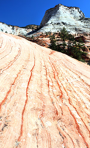 Utah photo libray image