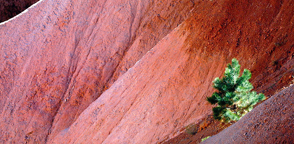 Utah photo libray image