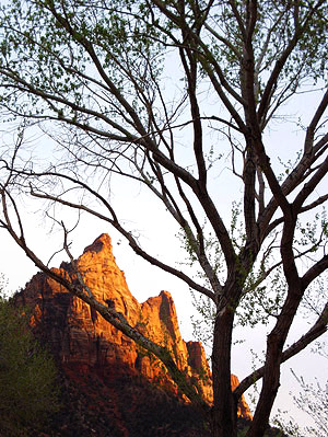 Utah photo libray image