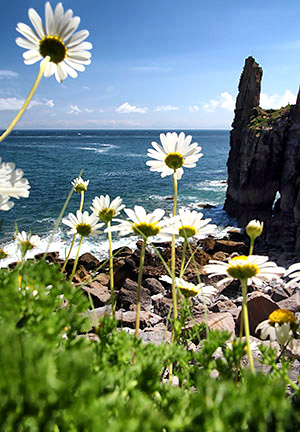 Photo library image of Wales [Cymru] UK