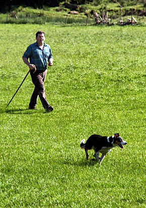 Photo library image of Wales [Cymru] UK