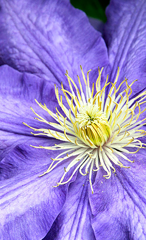 Photo library image of Wales [Cymru] UK