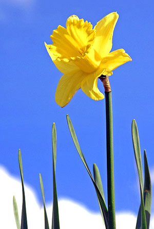 Photo library image of Wales [Cymru] UK