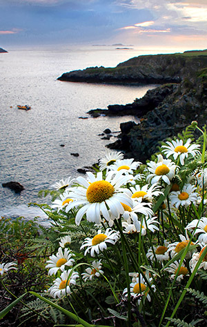 Photo library image of Wales [Cymru] UK