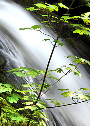 Photo library image of Wales [Cymru] UK