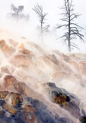 Winter photo tours of Yellowstone and Grand Teton national parks in Wyoming