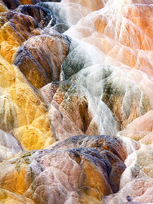Winter photo tours of Yellowstone and Grand Teton national parks in Wyoming