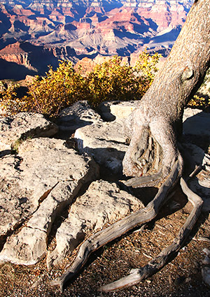 Photo tour images from Grand Canyon National Park in Arizona