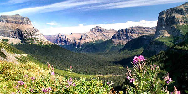 Photo library image from Glacier National Park in Montana