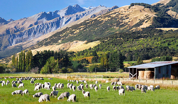 South Island, New Zealand photo tour image