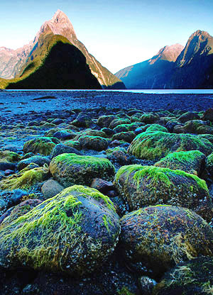Milford Sound, South Island, New Zealand