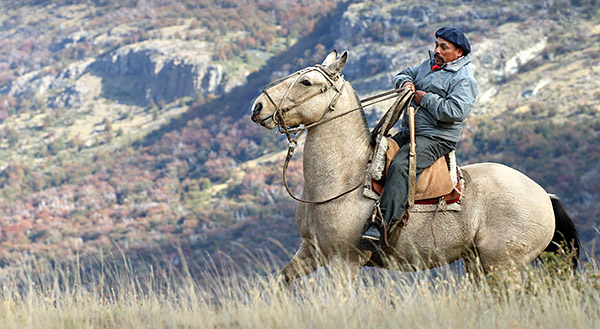 Patagonia photo tour image of a Gaucho on horseback near Mount Fitz Roy, Argentina