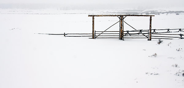 Winter photo tours of Yellowstone and Grand Teton national parks in Wyoming